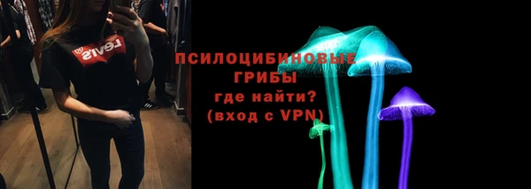 молекула духа Алексеевка