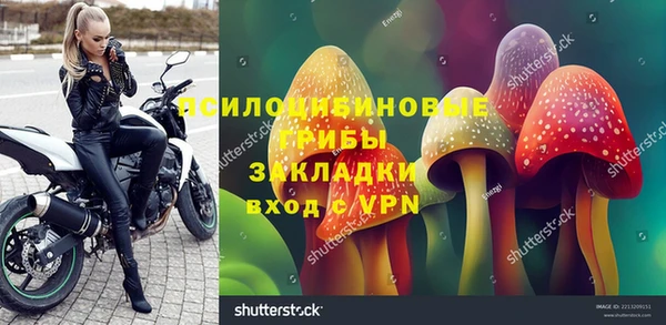 молекула духа Алексеевка