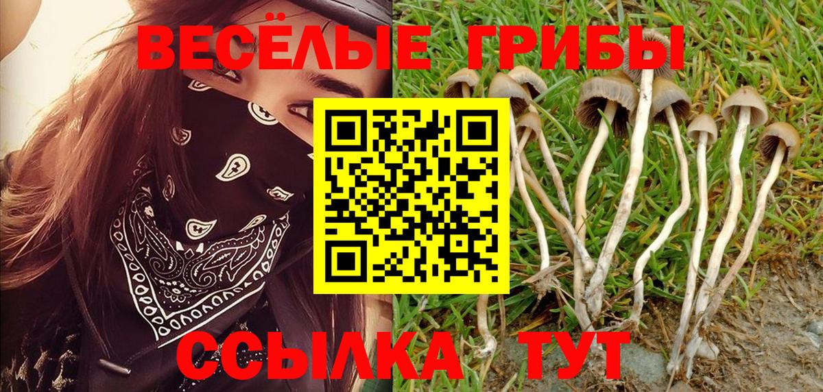 Галлюциногенные грибы Magic Shrooms Лабытнанги